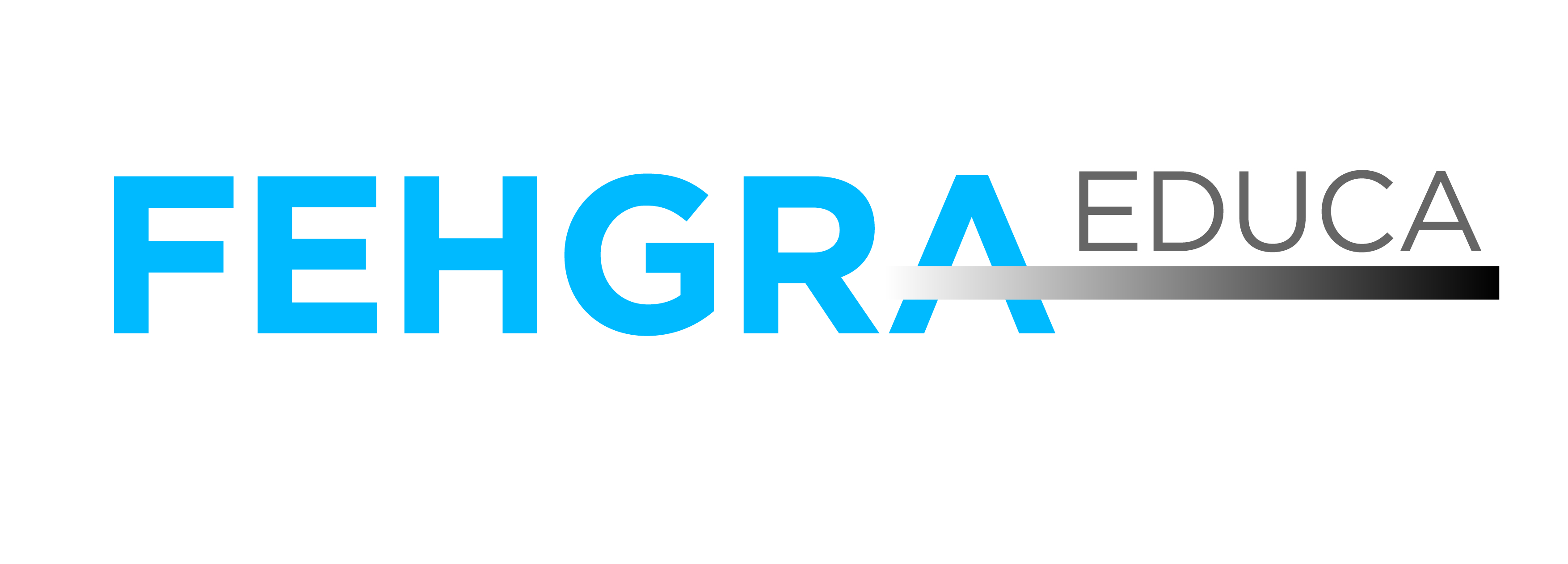 logo fehgra